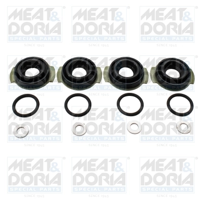 Seal Ring, injector